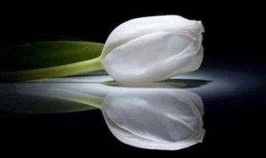 அகிலா ஐசக் நாவல்