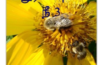 மதுரவிஷமோ நீ 3