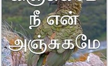 கிஞ்சுகமே நீ என் அஞ்சுகமே 1