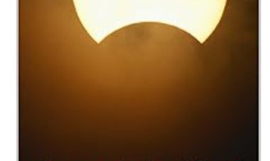 அலெக்சாண்டரின் அல்லிக்கொடி