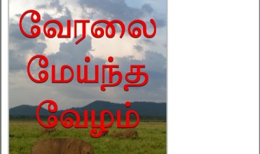 நேரடி அமேசான் கதை வேரலை மேய்ந்த வேழம்