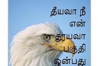 தீயவா நீ என் தூயவா 9