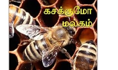 கசக்குமோ மல்கம்